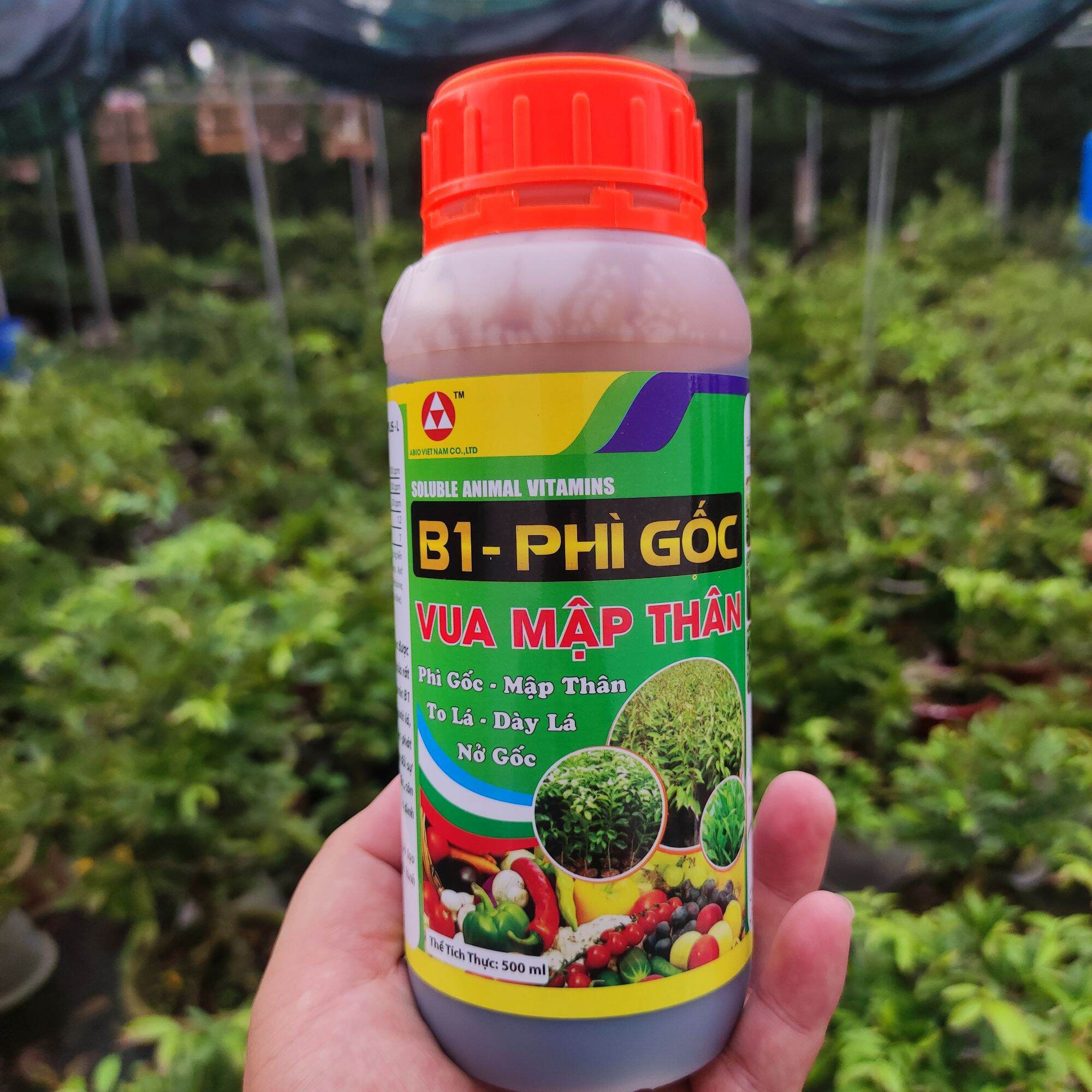 [phân bón siêu phì gốc ] mập gốc phì cọng nhanh lớn cành