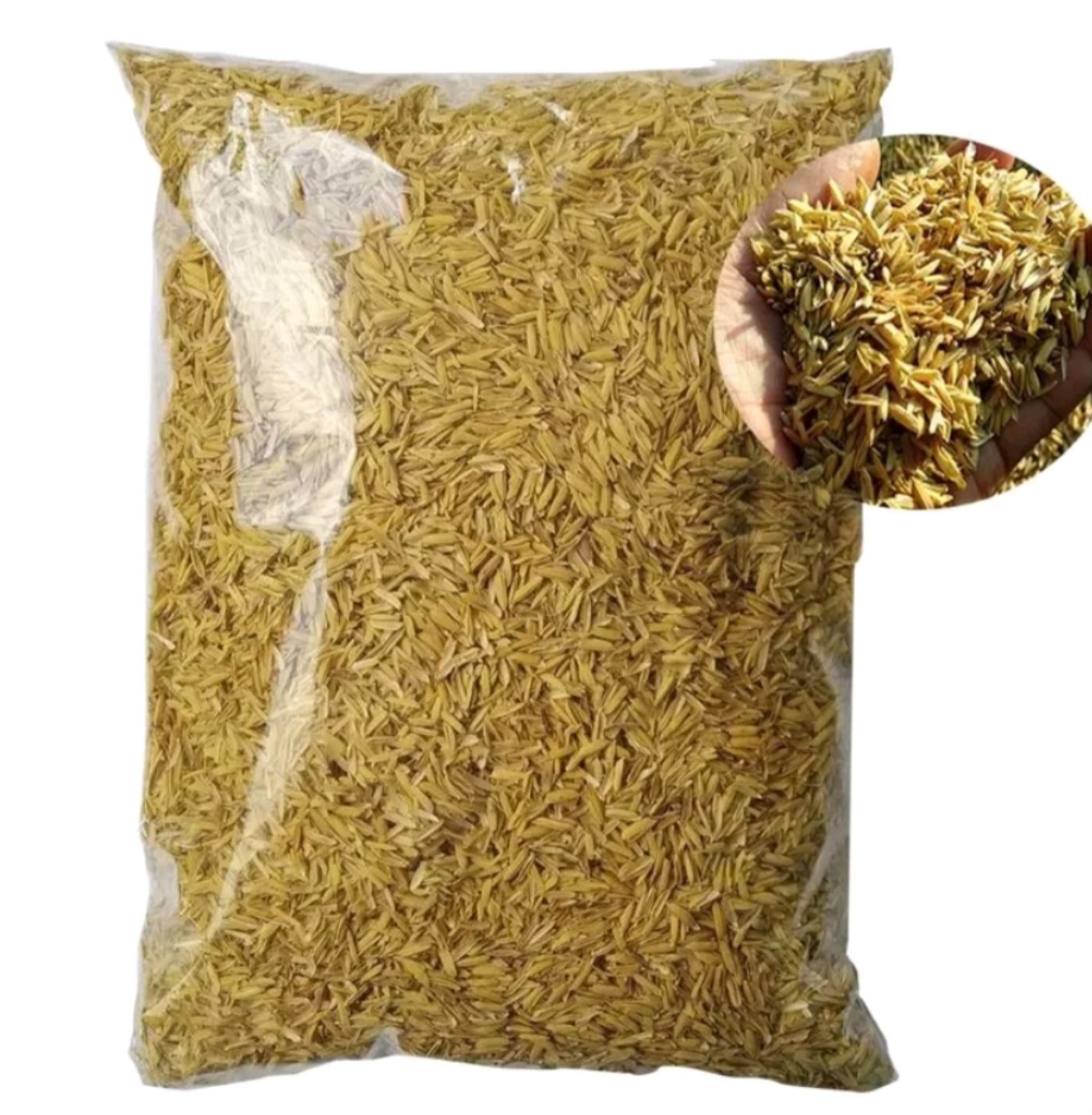 5 Ký Trấu tươi ( trấu sống ) làm xốp đất
