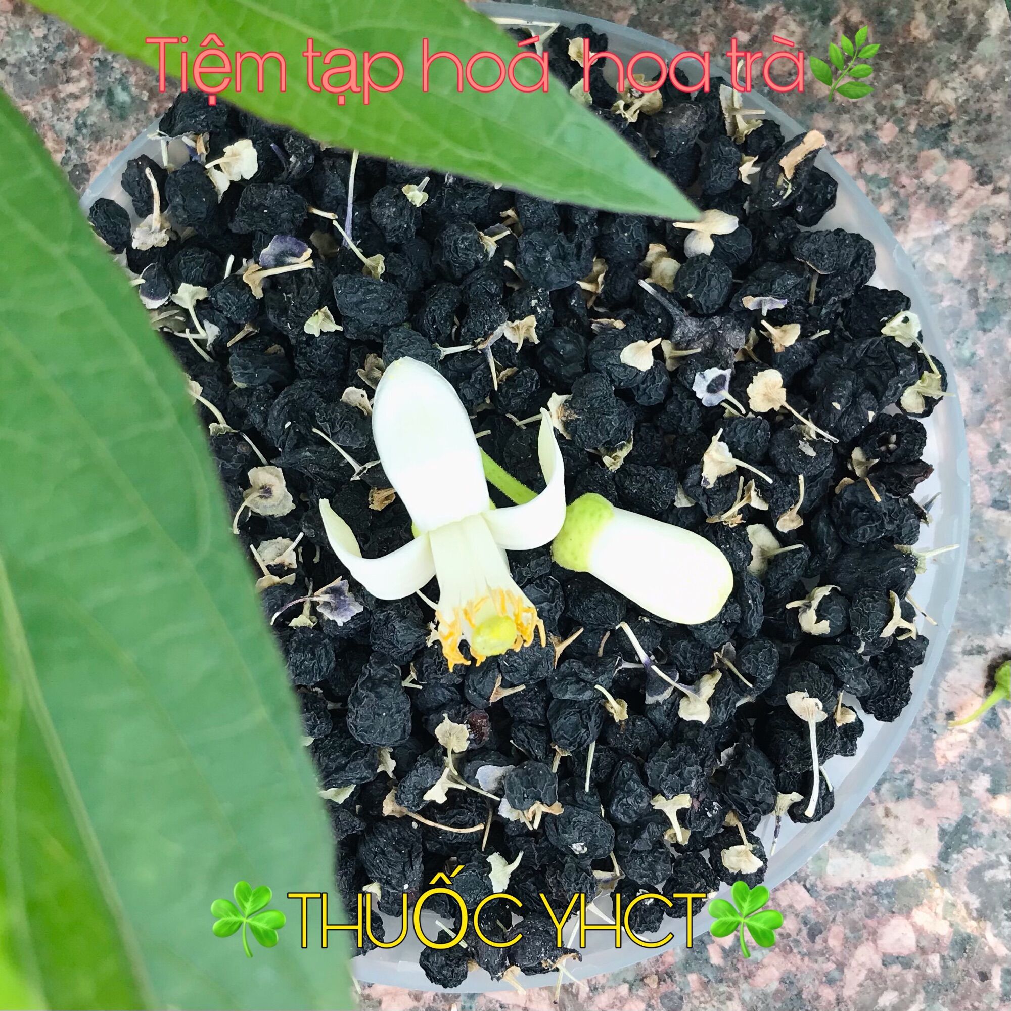 Hắc kỷ tử ( kỷ tử đen )  sấy khô  loại 1 ( 100g-300g )