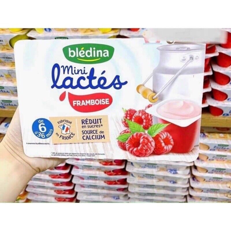 Sữa Chua Bledina Cho Bé 6 tháng Pháp