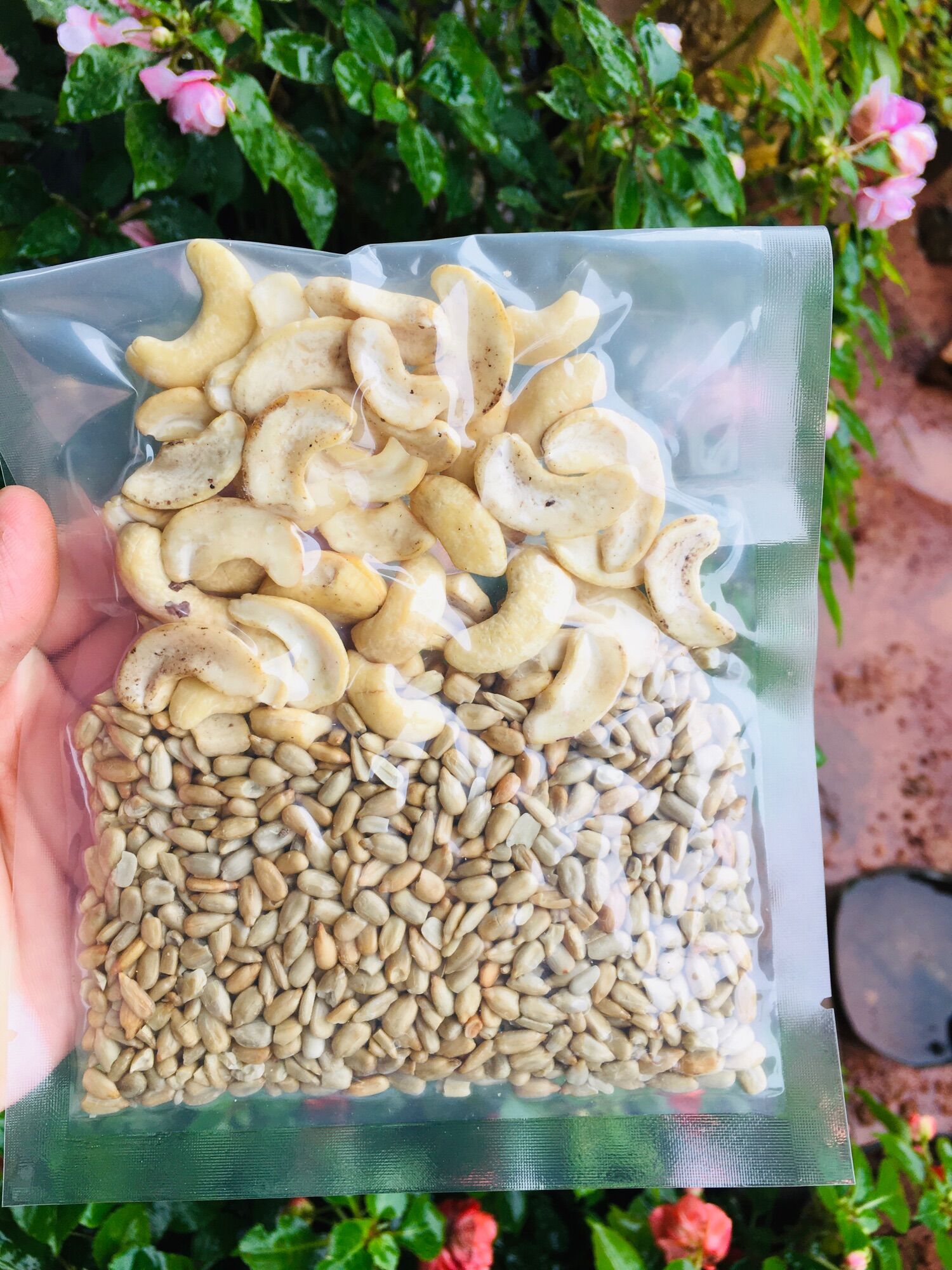 Sét 10 gói sữa hạt dinh dưỡng 100g/gói