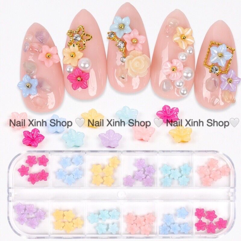 Khay phụ kiện trang trí móng ( 12 ô)