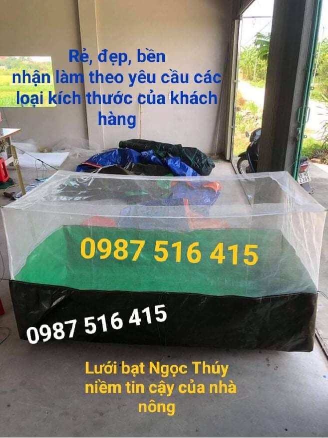 Bể bạt nuôi ốc, lươn, ếch