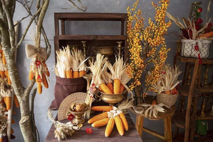 Bắp ngô khô trang trí, decor tết, nhà cửa