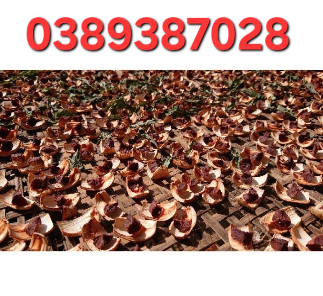 Quả cau khô,500g như hình