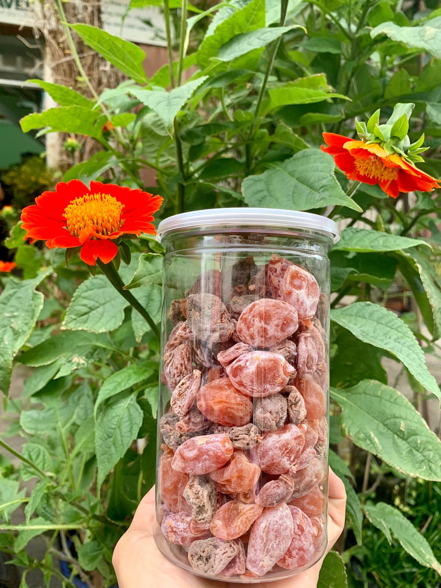 Xí muội tứ vị