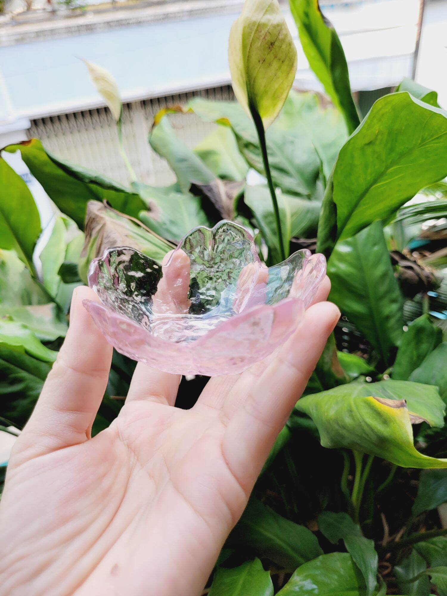 Chén Hoa Anh Đào Thủy Tinh 8.5cm Kiểu Đẹp