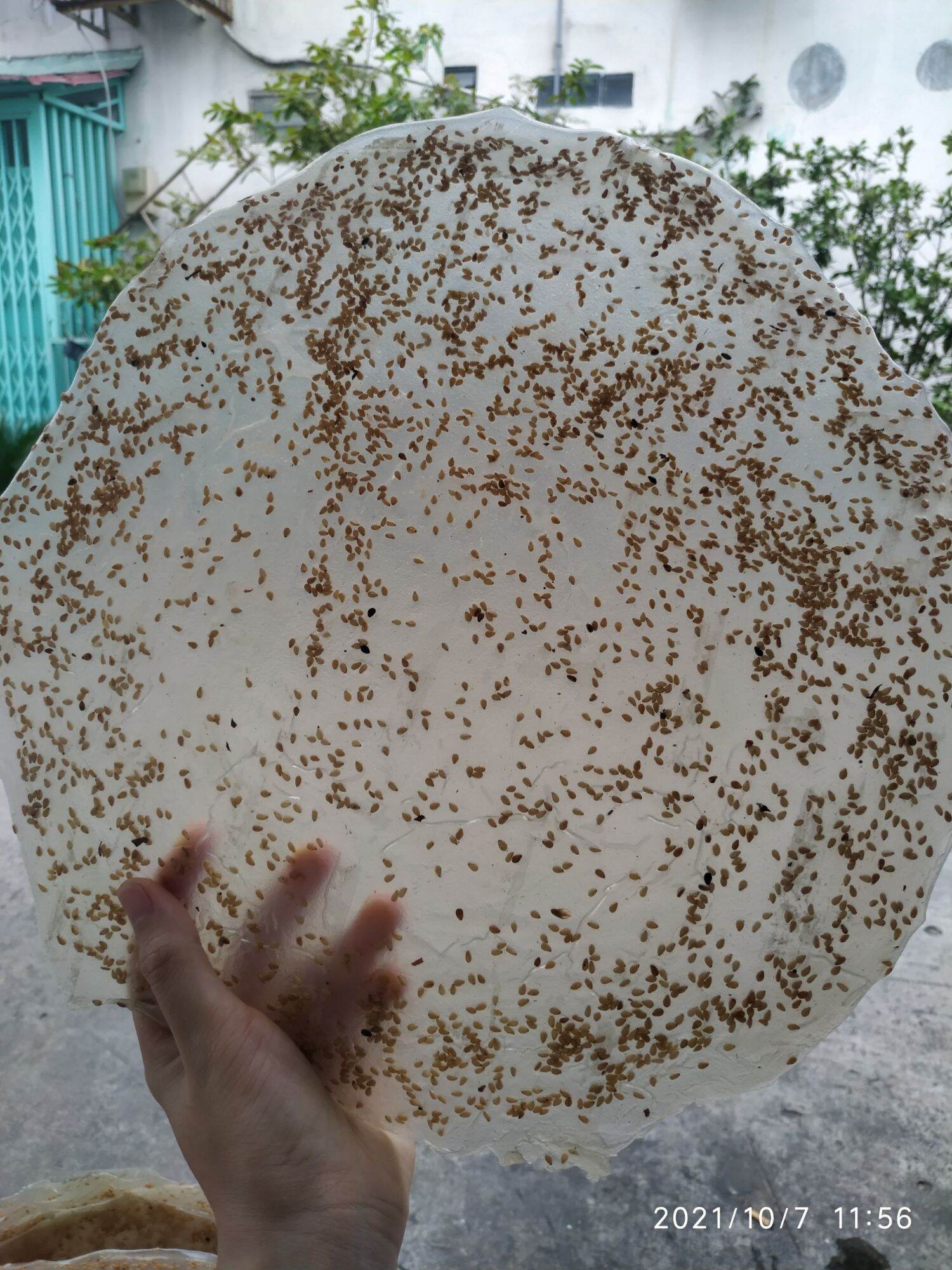 Combo 10 bánh tráng sống quảng ngãi