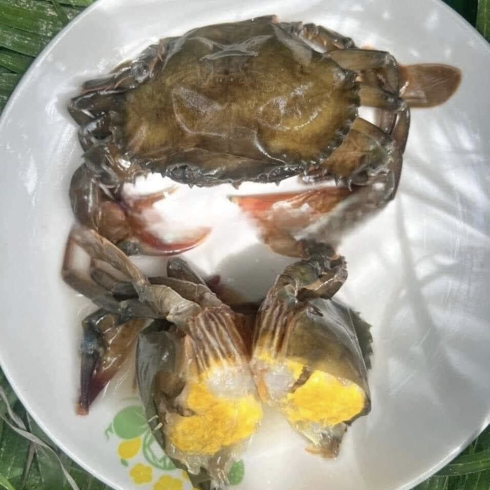 [1Kg] Cua Lột (Soft shell Crab) Myanmar.