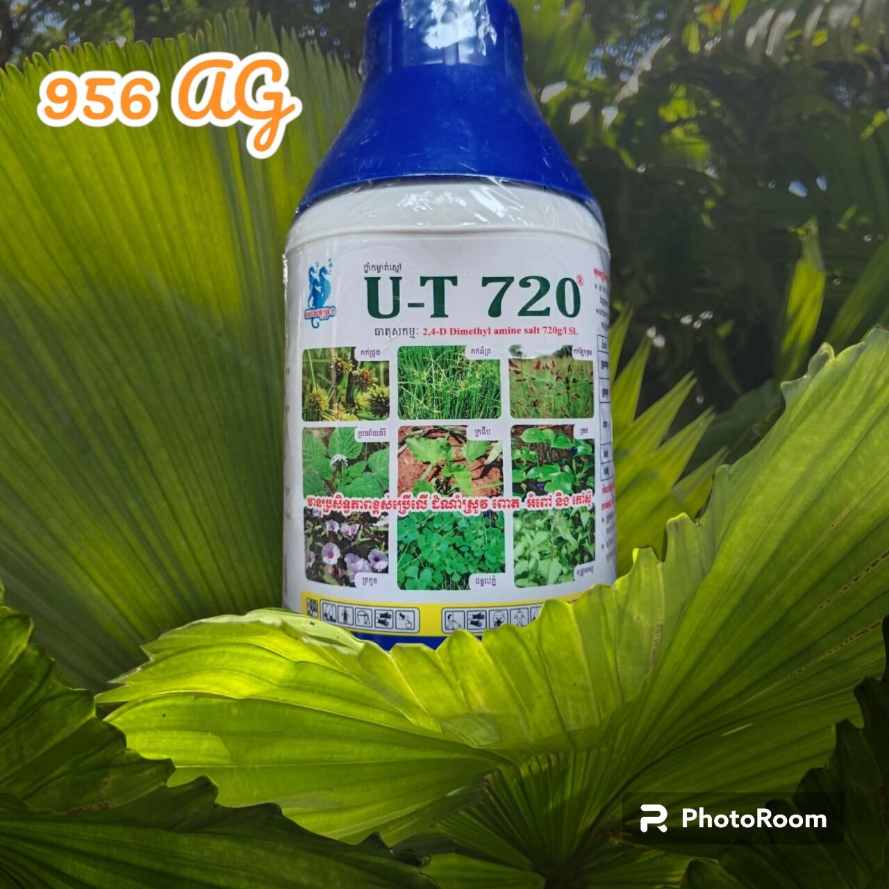 💎 Thuốc trừ cỏ 2,4D 720SL U-T (450ml)📛 Chuyên cỏ lúa, ngô (Nhập Cambodia nồng độ cũ)