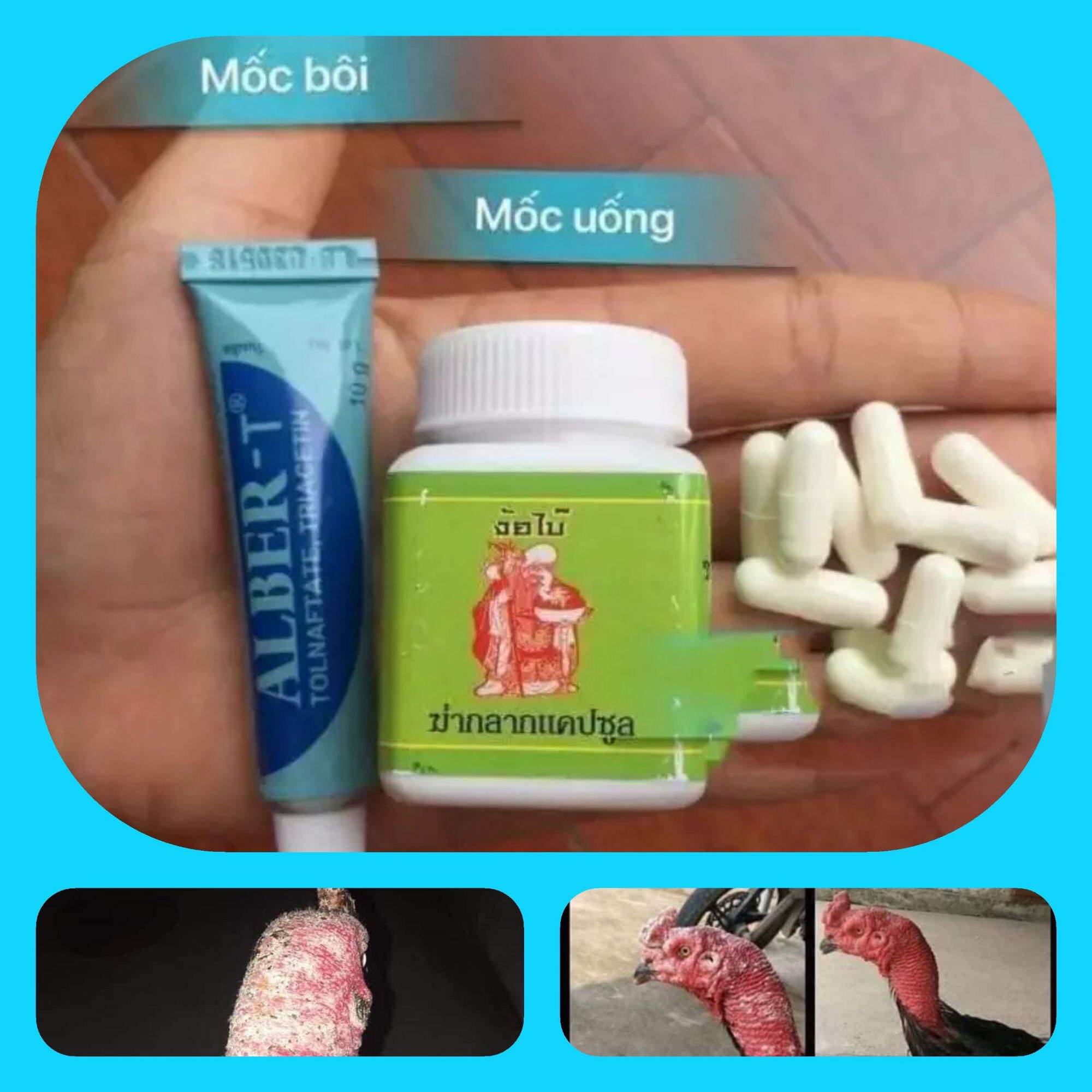 - mốc uống + bôi alber-t made in thailand