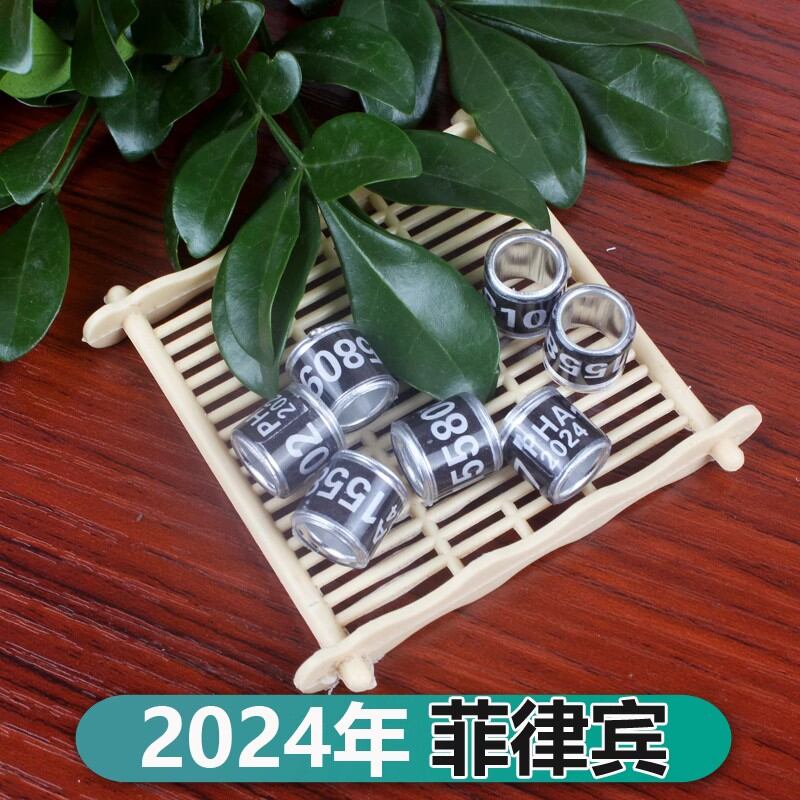 Vòng chân chim bồ câu, vòng chân chim bồ câu, vòng chân chim bồ câu, vòng chân năm 2024, vòng chân cho người nước ngoài, vòng chân, vòng chân