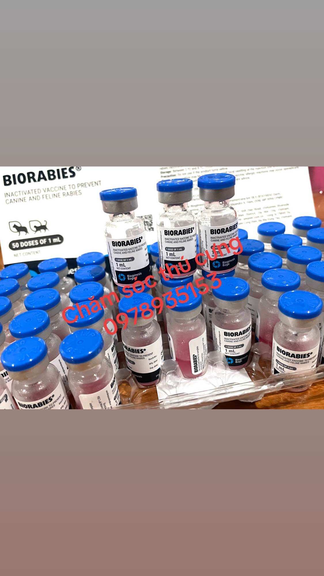 Ngừa Dại cho chó, mèo, thú cảnh.