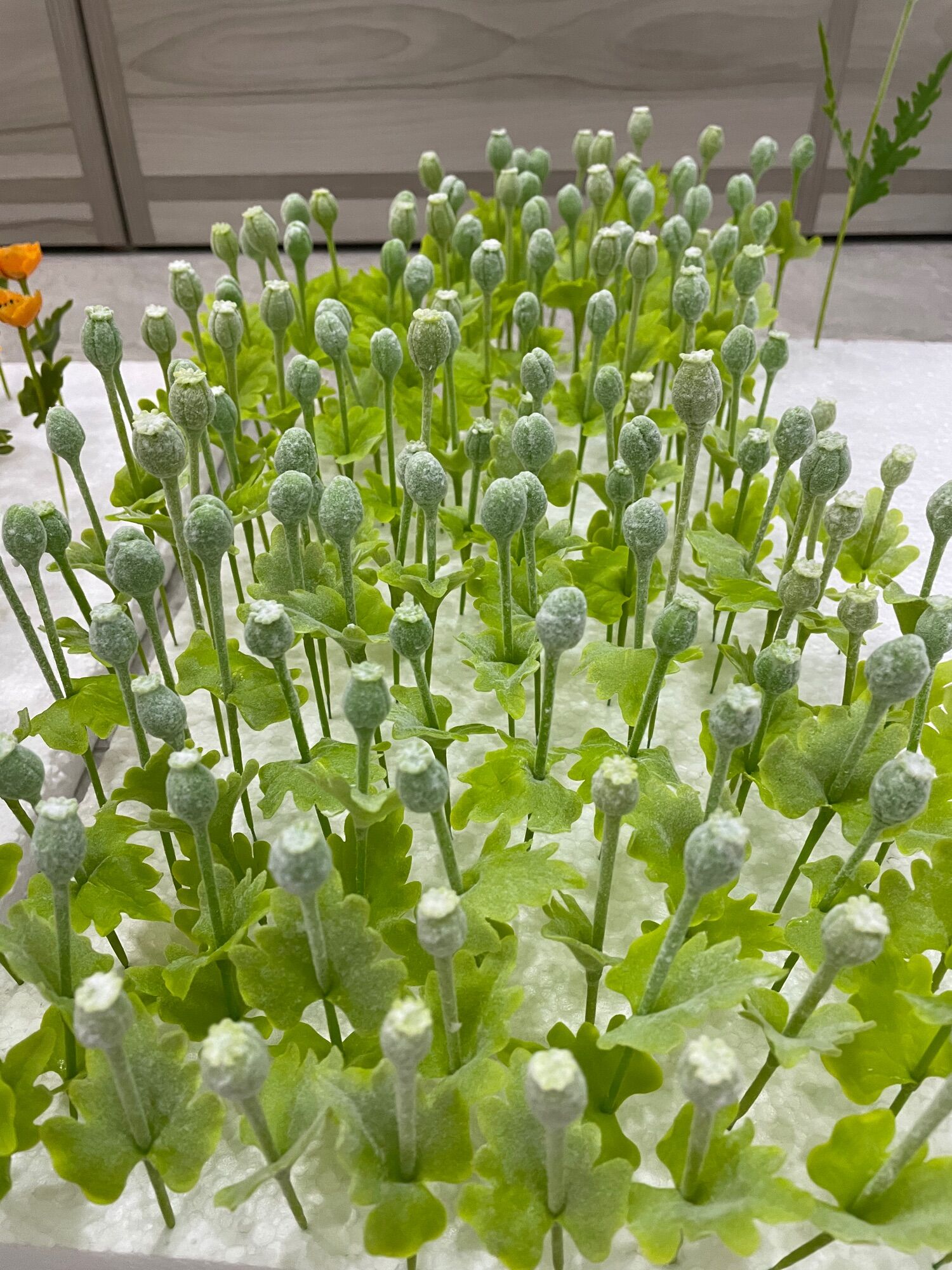 HOA ĐẤT SÉT - ĐẤT SÉT XANH LÀM LÁ ( 1KG=4 GÓI)