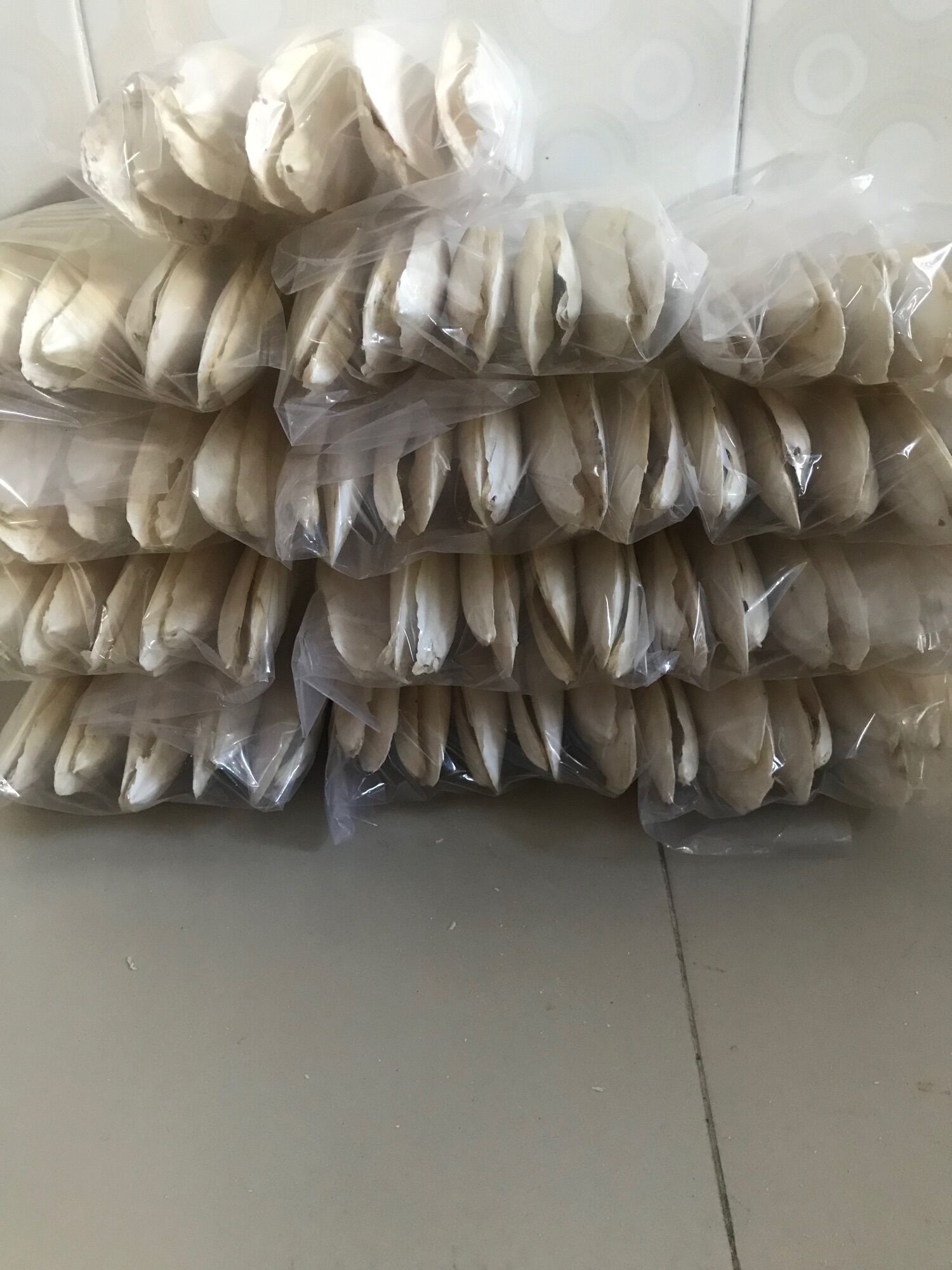 Nang mực khô KT 18-19cm/1cái