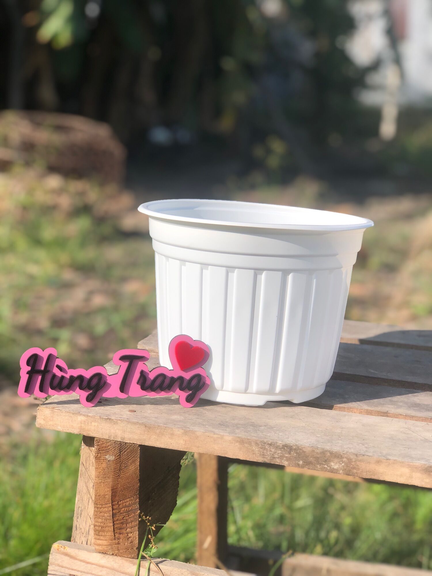Chậu nhựa Trắng T26 combo 10 chậu