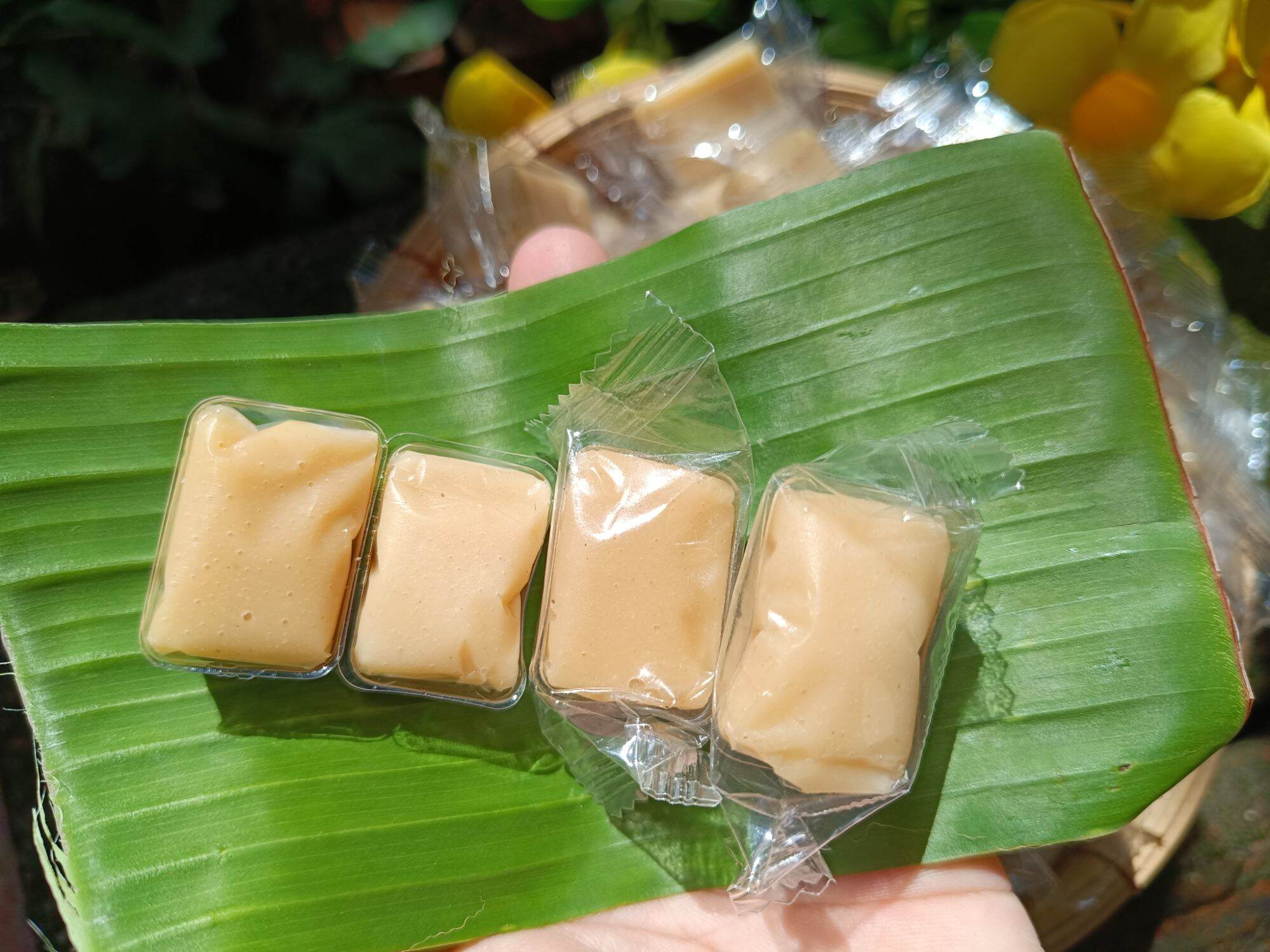Kẹo dừa sáp không đường 500g (Kẹo dừa cho người kiêng đường)