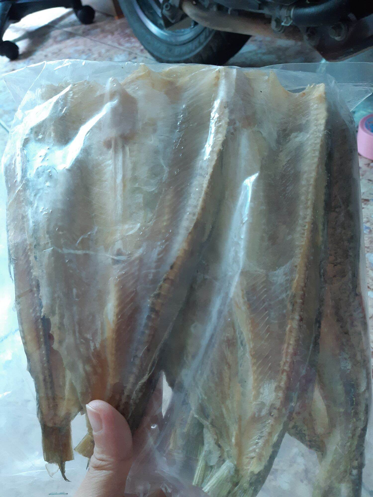 0.5kg cá mối thuẩn vị mặn
