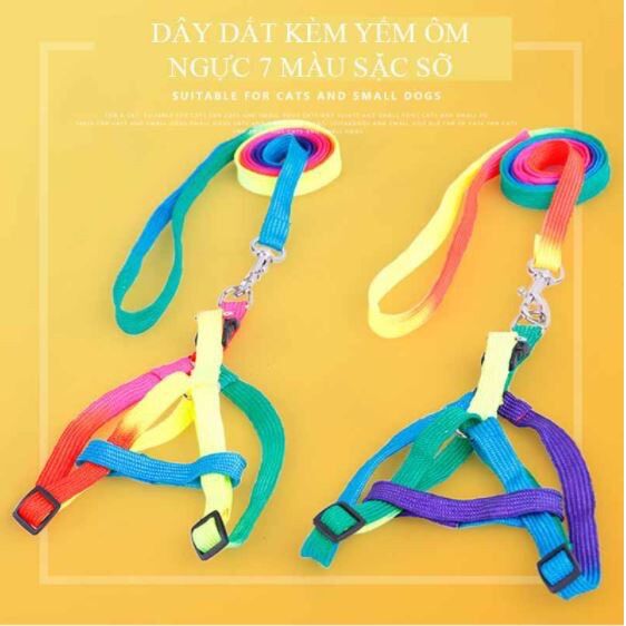 Dây dắt nhỏ 7 màu + tặng kèm yếm - dây dắt