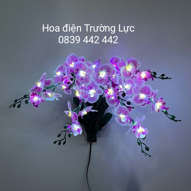 Hoa Lan Treo Tường - Hoa Trang Trí Có Đèn