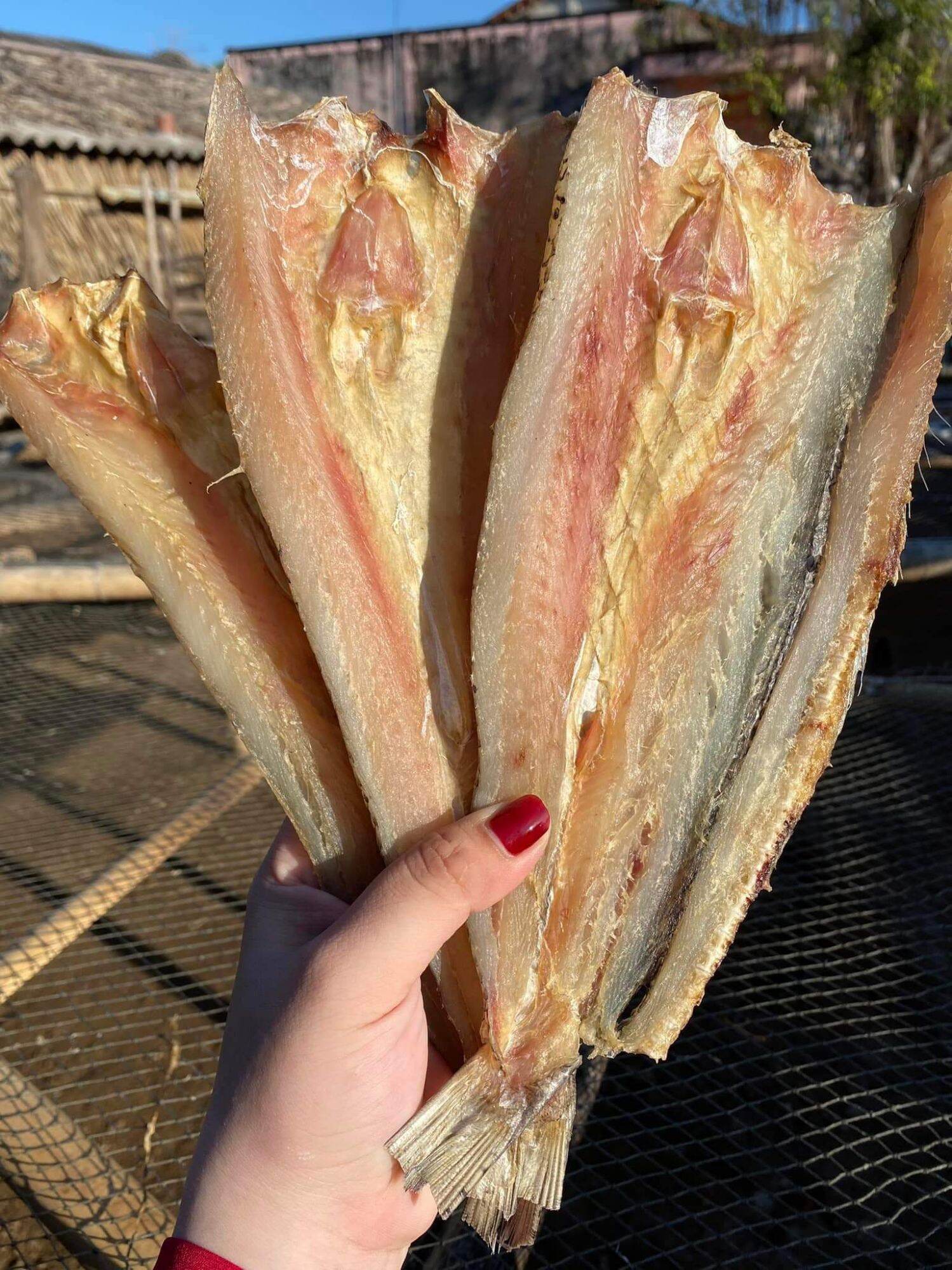 1kg cá mối khô loại ngon