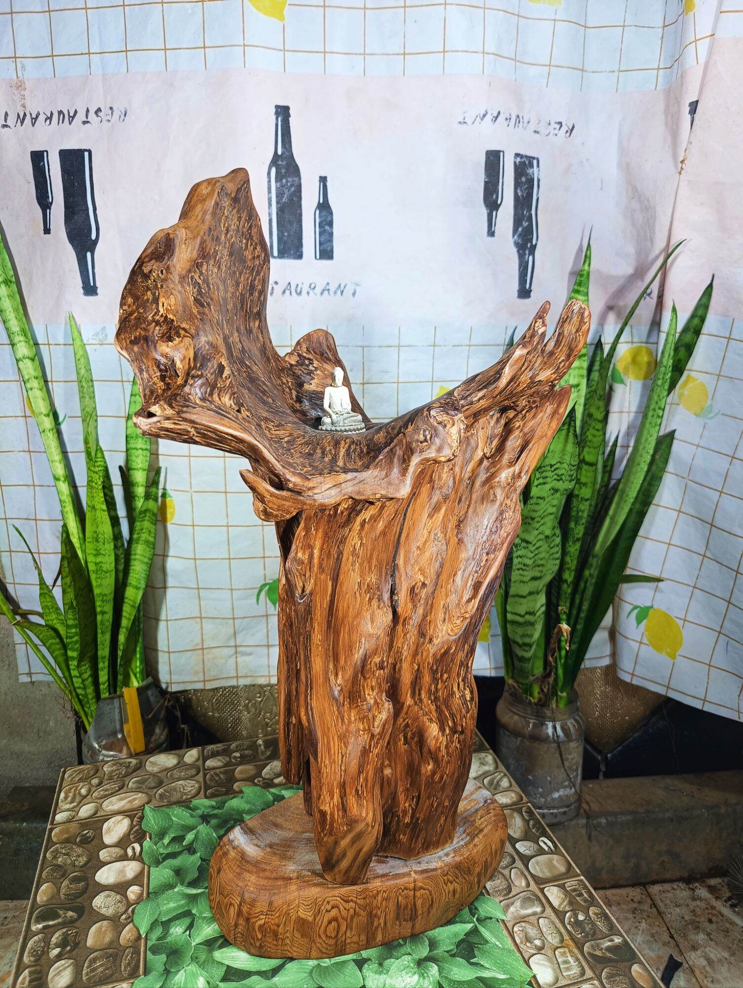 lũa ngọc am đỏ hà giang