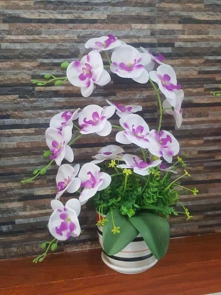 Bộ nguyên liệu làm hoa giấy
