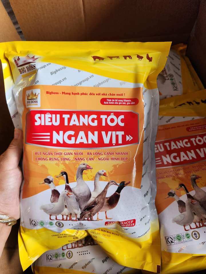 Siêu tăng tốc ngan vịt, lớn nhanh, đẹp mã, ra lông nhanh 1kg