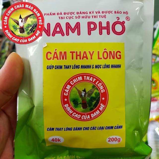 Cám chim thay lông nam phở