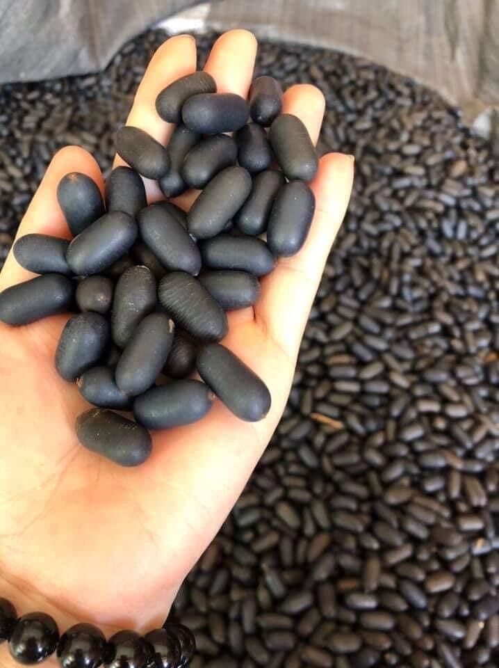 Hạt đỗ rừng gói 1kg