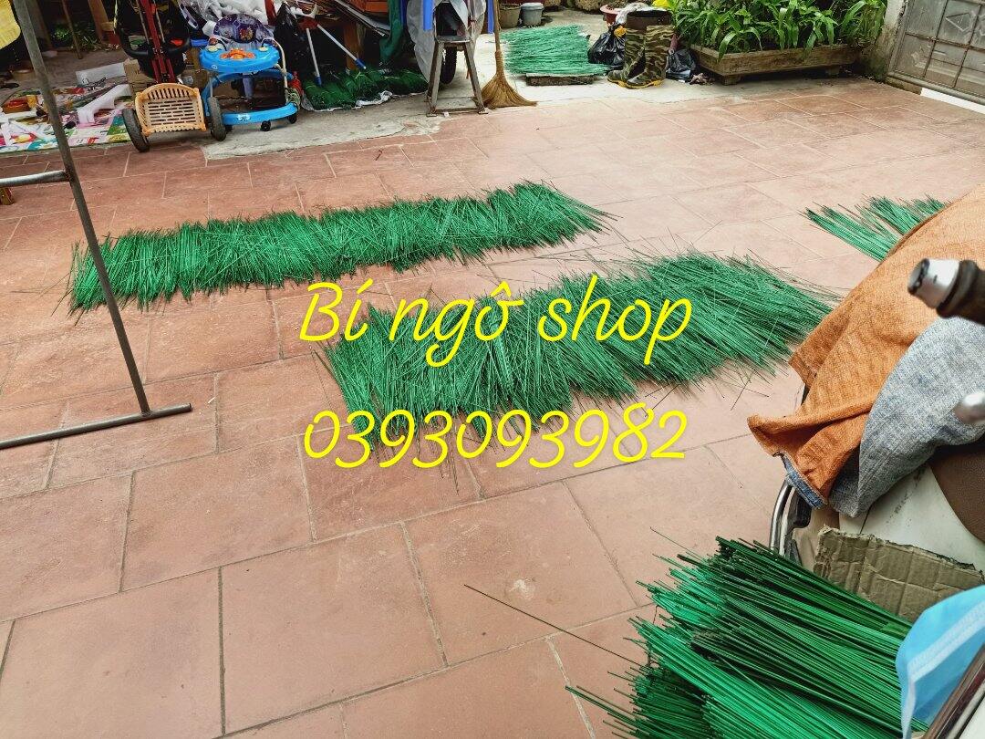 300 que nan cáp quang 1li7 dài 50cm
