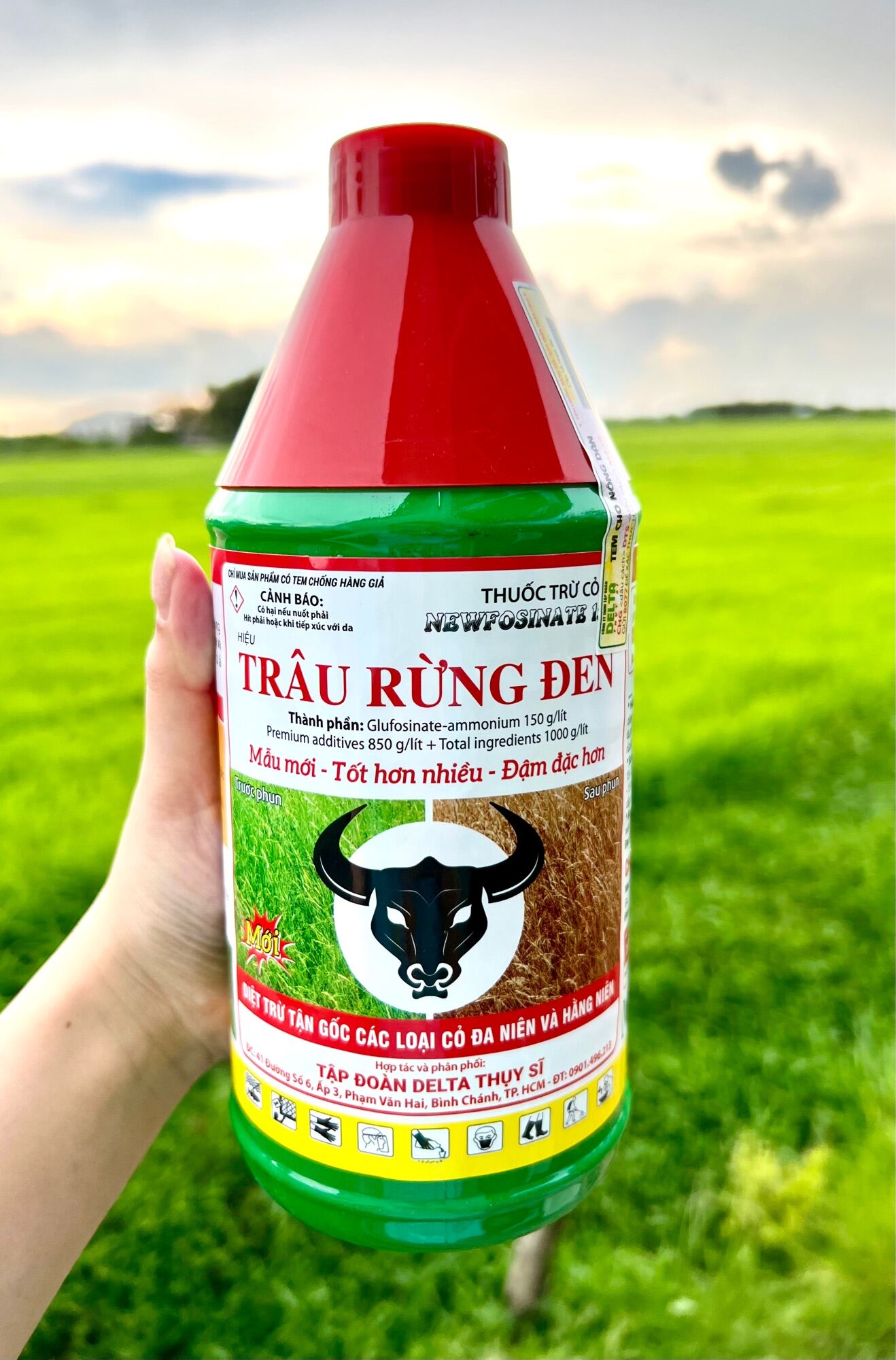 THUỐC TRỪ CỎ THẾ HỆ MỚI TRÂU RỪNG ĐEN (900ML) DIỆT TRỪ MẦN TRÂU, THÀI LÀI, CỎ CHỈ, CỎ TRANH, CỎ ỐNG, CỎ LÁ RỘNG, LÁ HẸP,..