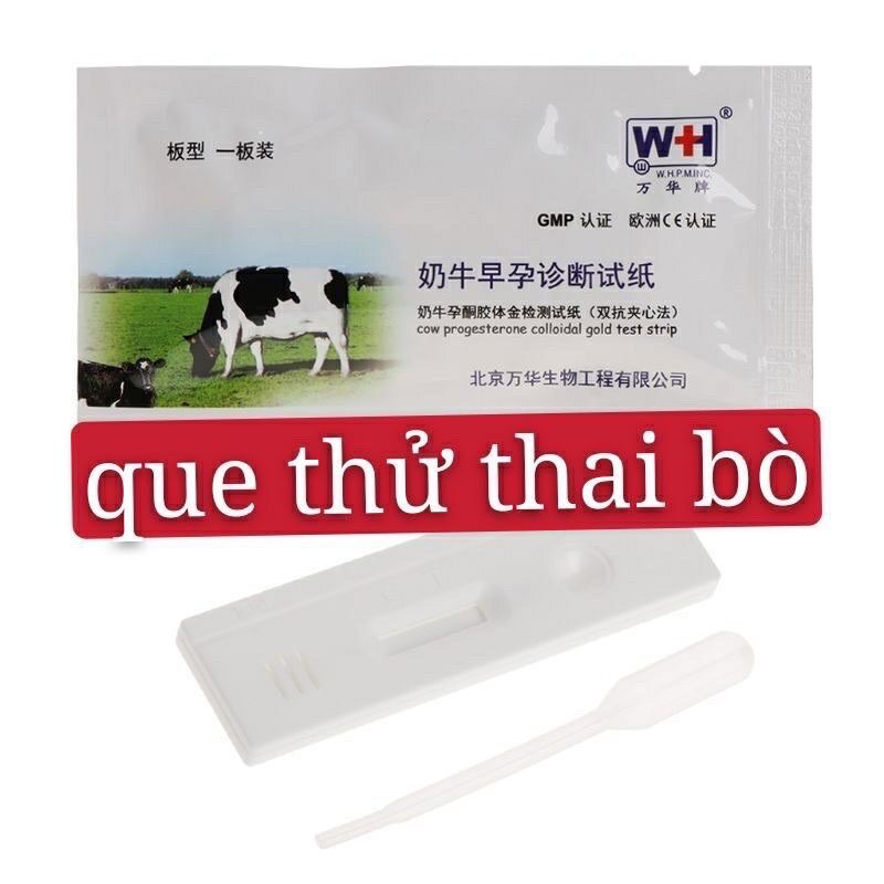 Que thử thai trâu, bò chính hãng Wh
