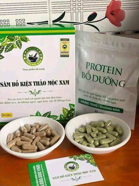 [CHÍNH HÃNG] Sâm Bổ Kiện Thảo Mộc Nam - TĂNG CÂN HIỆU QUẢ