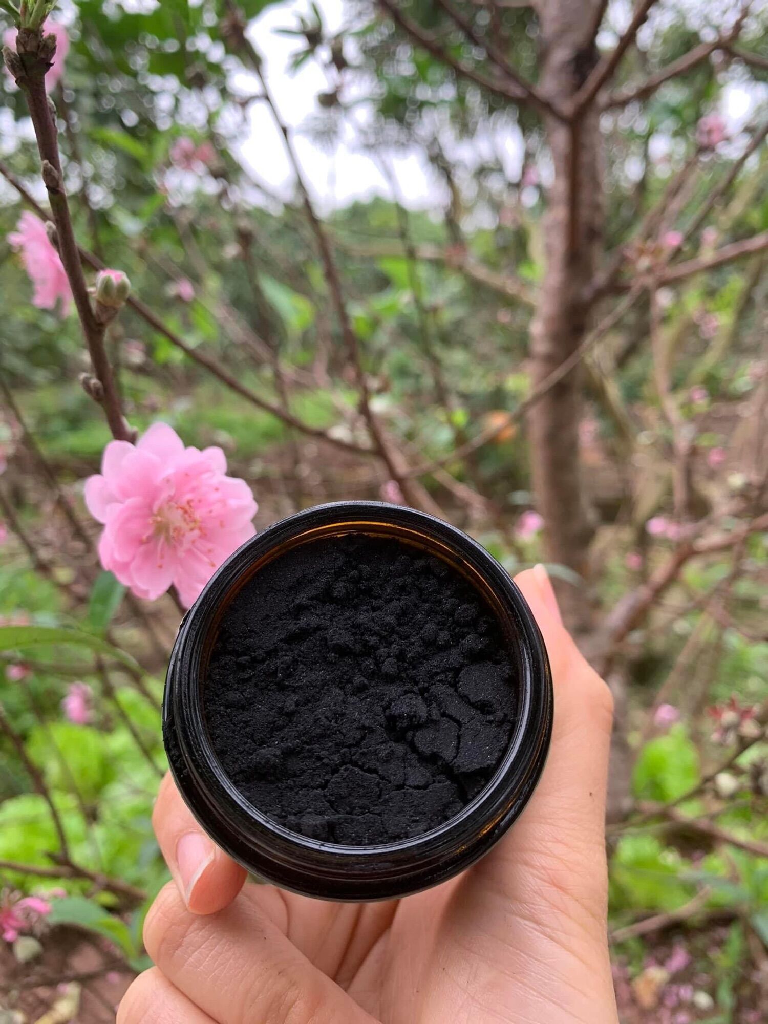 Bột Than Tre Hoạt Tính Trắng Răng Zenpali