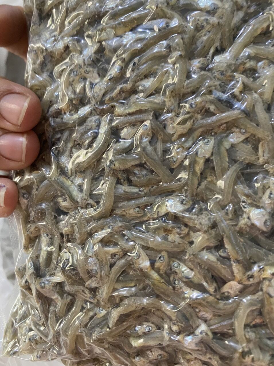 0,5kg khô cá cơm/cá cơm khô xuất khẩu