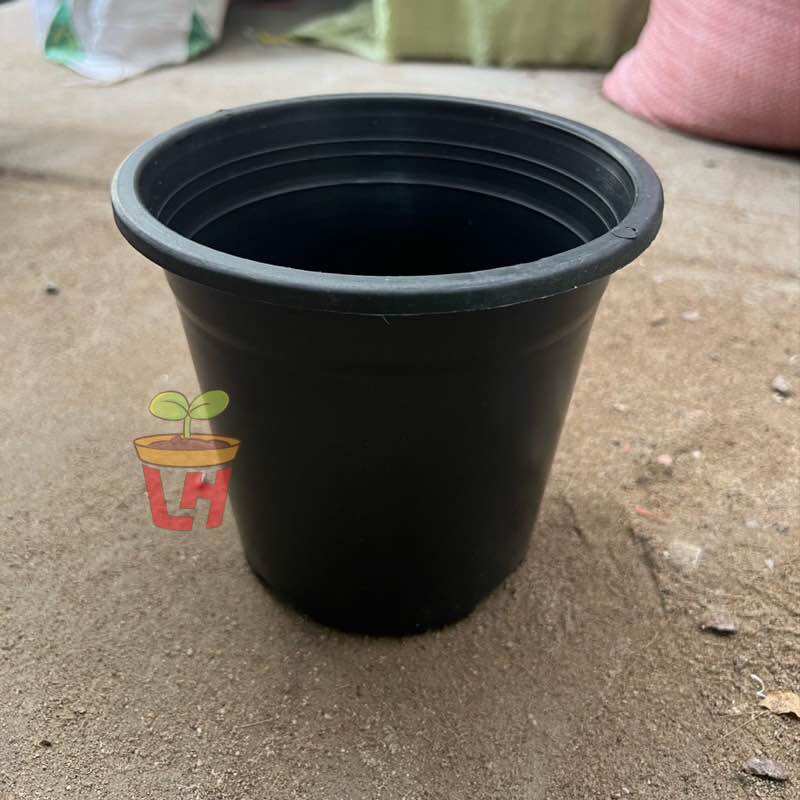 Chậu nhựa trồng cây , chậu nhựa tròn đen nhiều cỡ