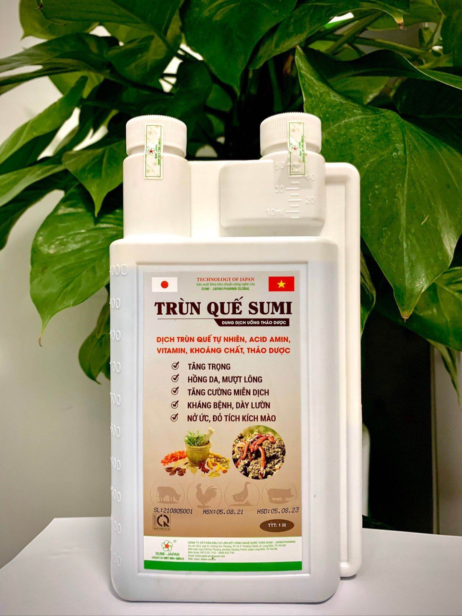 Trùn quế Sumi siêu tăng trọng