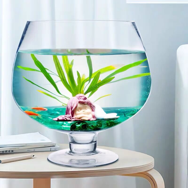 Bể cá thủy tinh hình chiếc ly, bể trồng thủy sinh dáng ly