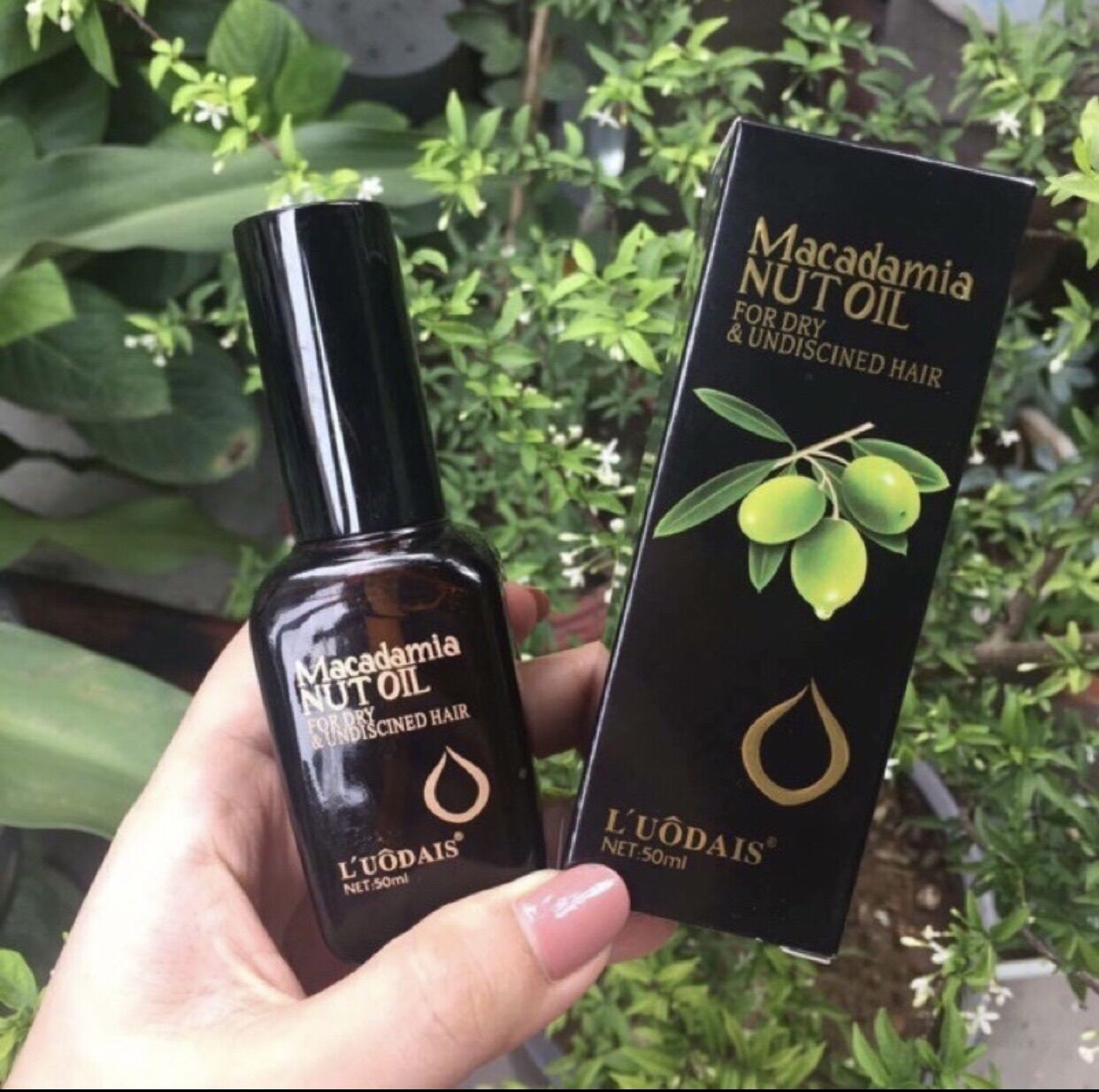 Tinh dầu dưỡng tóc macadamia 50ml L'uadais