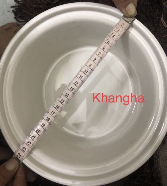 ❄️Ruột sứ nồi nấu cháo chậm 2,5 lít Đạt Tường