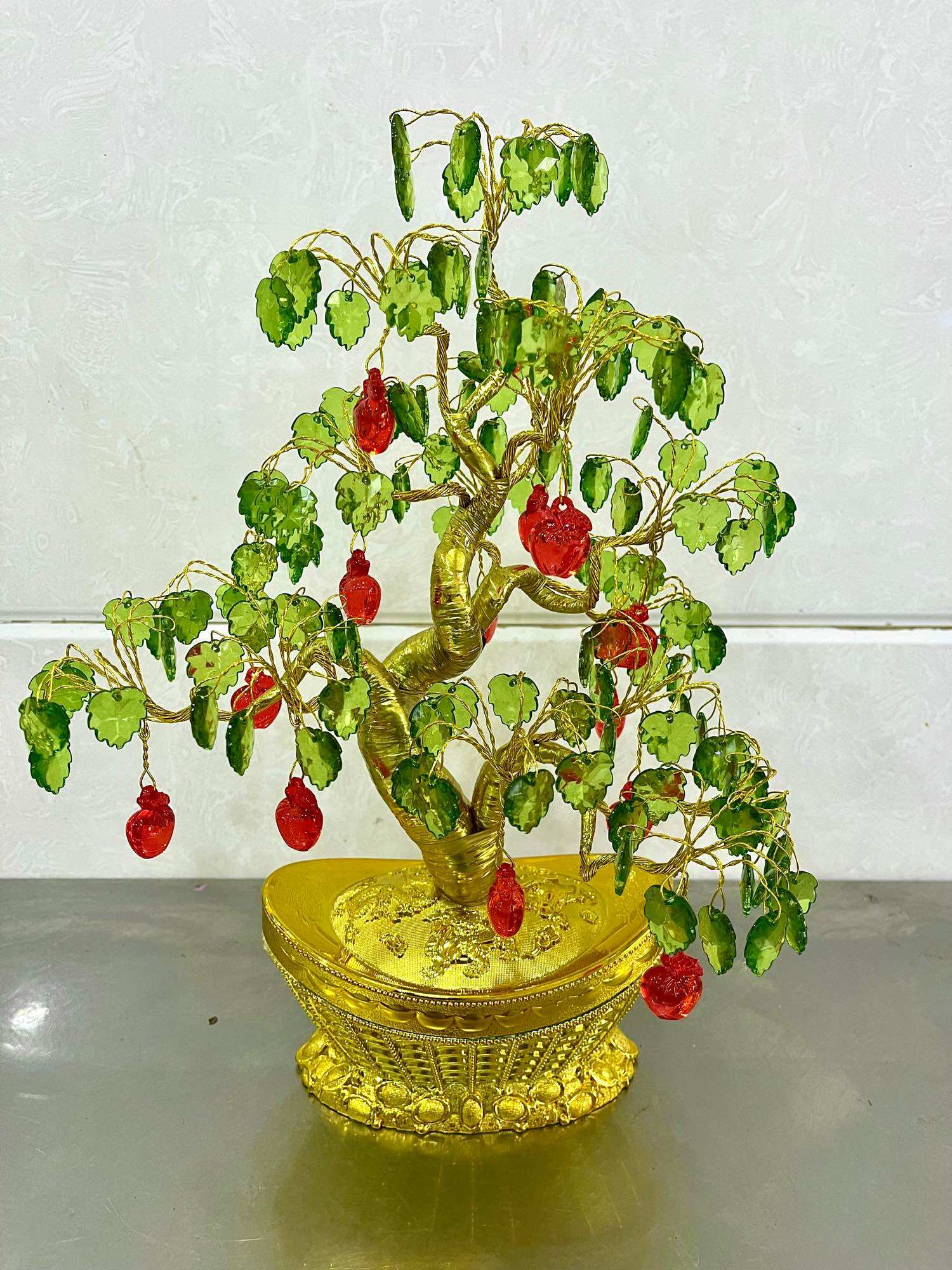 Cây cảnh trang trí nhà cửa