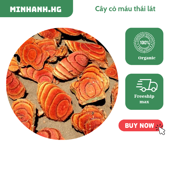 Cây cỏ máu khô thái lát - 1kg - hỗ trợ tăng cân cho người gầy, bổ máu, đẹp da