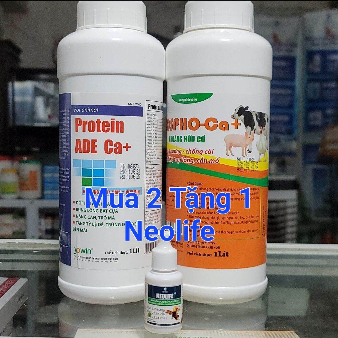 Combo 2 lít Protein ADE Ca và Phospho Ca tặng kèm chai Men Neolife 20ml chuyên dùng cho thú cưng