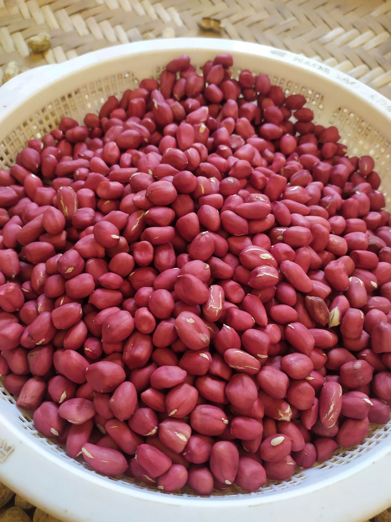 Lạc đỏ