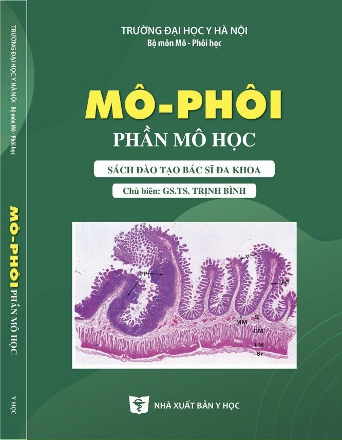 Sách - mô phôi phần mô học tái bản 2023