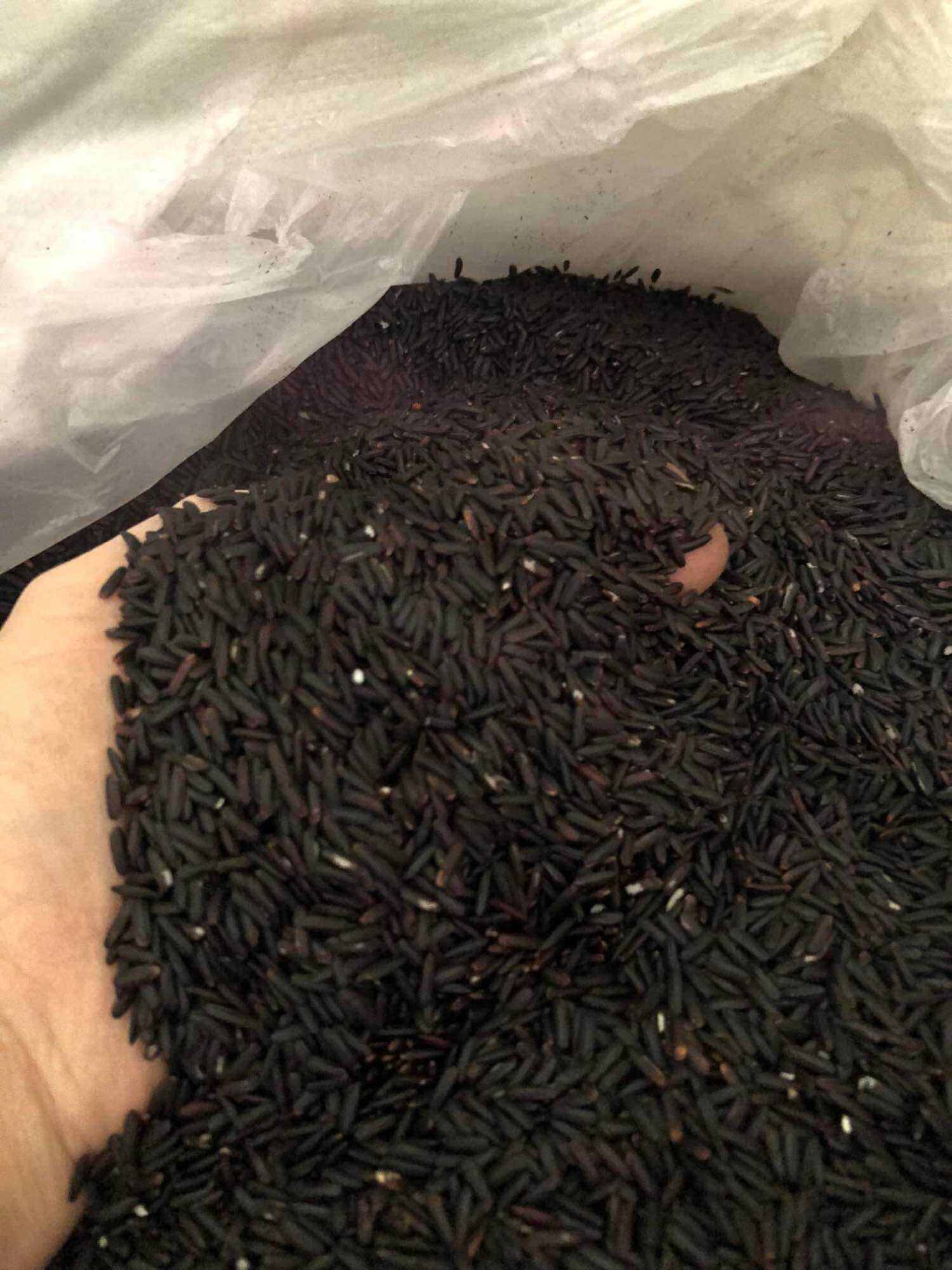 1kg gạo lứt đen dẻo