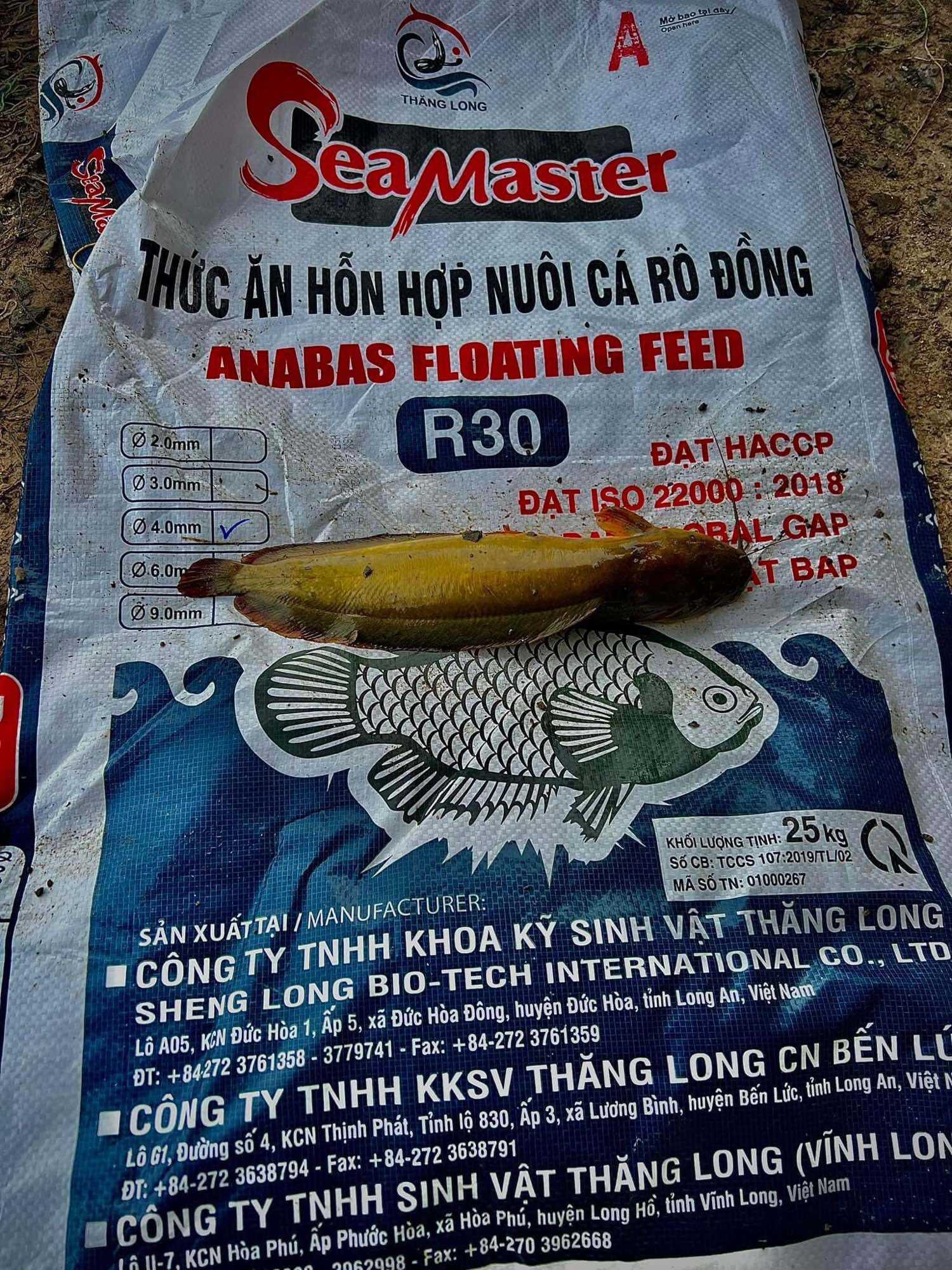 Cám câu Rô đồng, trê vàng. Gói 500 gam