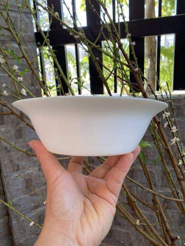 bộ tô dĩa cao cấp
