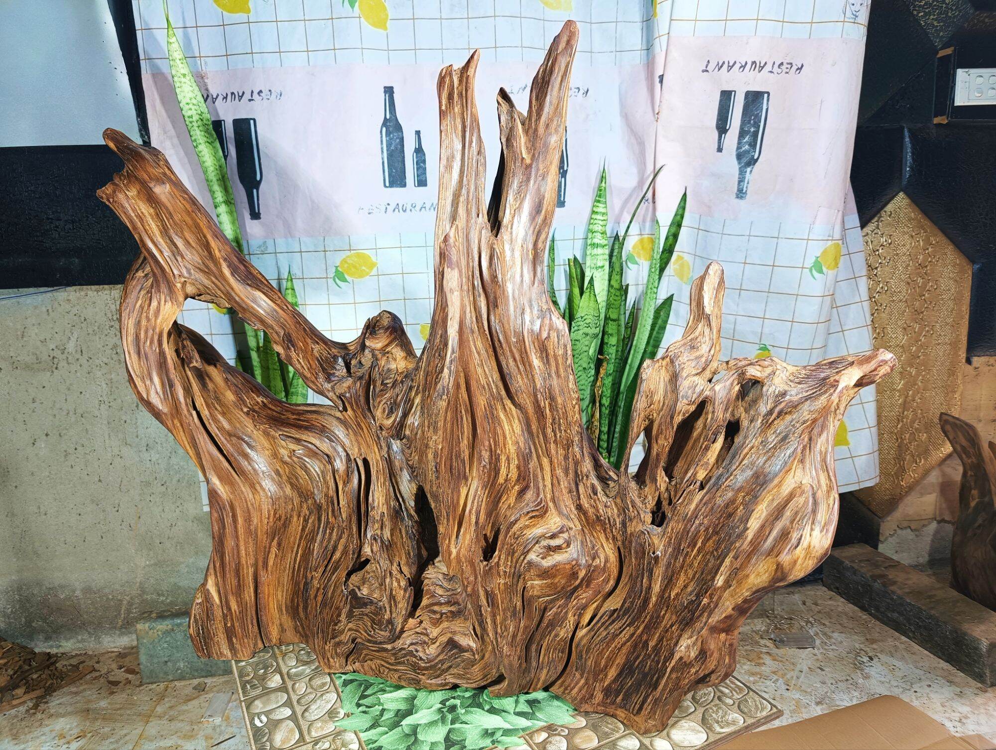lũa gỗ thơm ngọc am đỏ hà giang